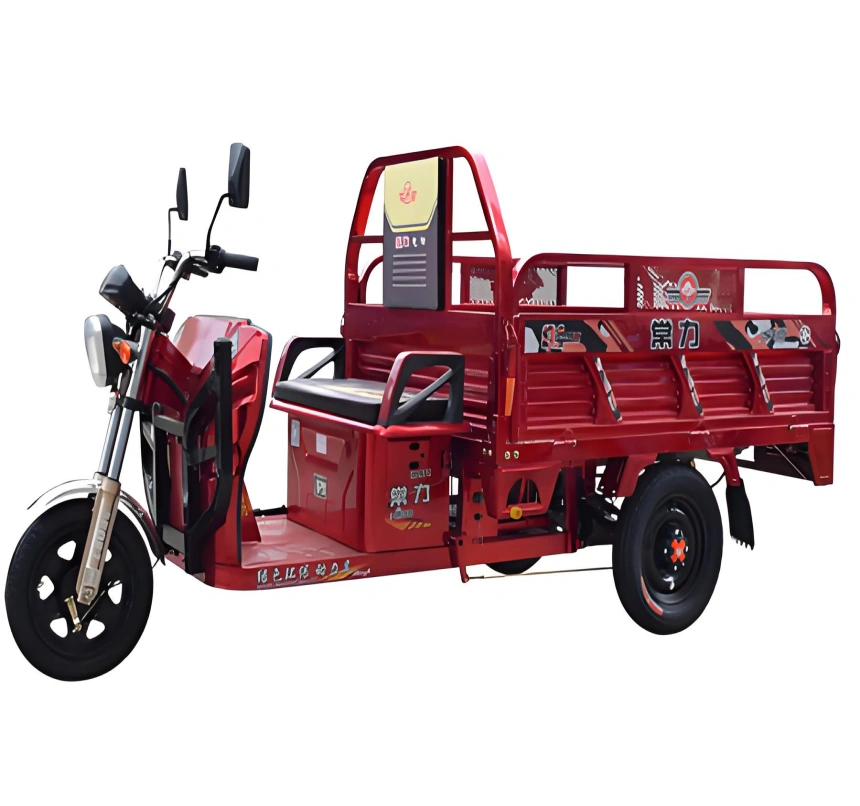 Sinoswift Electric tricycle Sinoswift Electric tricycle