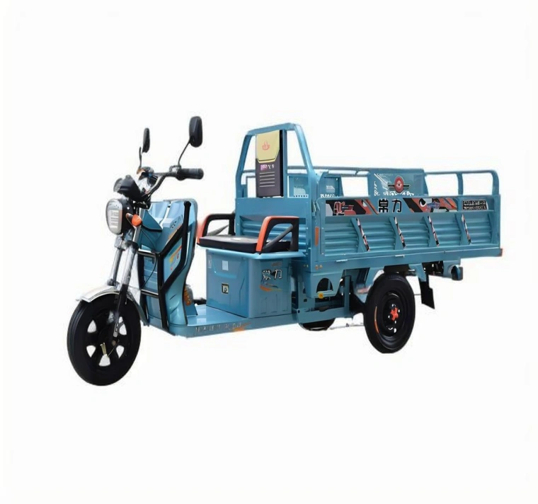 Triciclo elétrico Sinoswift Triciclo elétrico Sinoswift